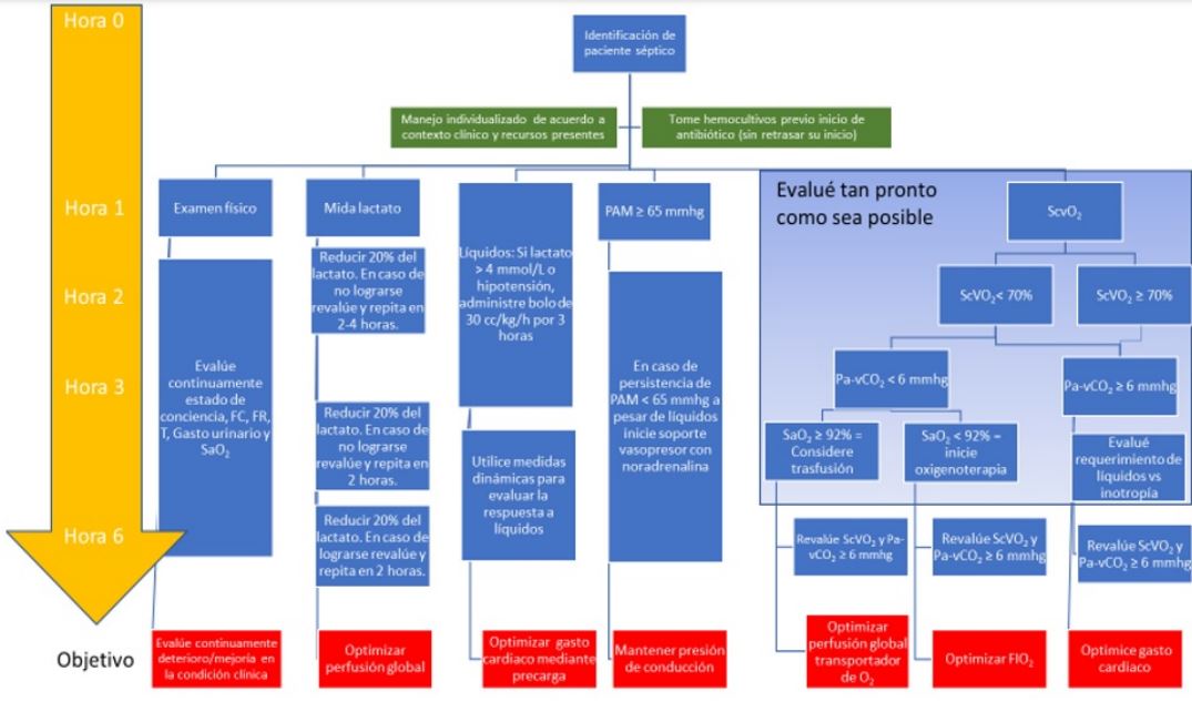 Esquema de reanimaci&oacute;n guiado por metas recomendadas. Tenga en cuenta que el algoritmo enmarcado en el cuadro azul a la derecha no est&aacute; enmarcado para su desarrollo dentro de las primeras 6 horas, sino tan pronto como sea posible