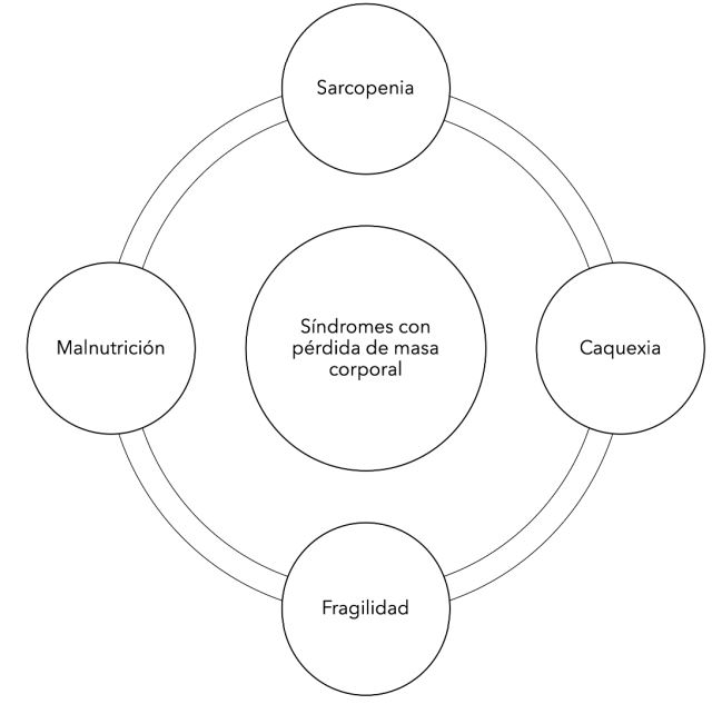 S&iacute;ndromes con p&eacute;rdida de masa corporal en adultos mayores y que se relacionan con la p&eacute;rdida de peso no intencionada