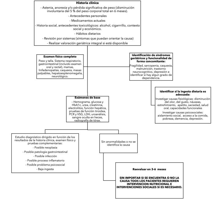 Abordaje diagn&oacute;stico del s&iacute;ndrome constitucional en adultos mayores
