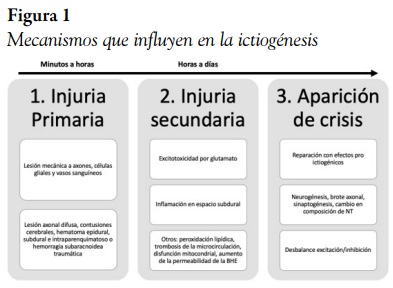 Mecanismos que influyen en la ictiogénesis