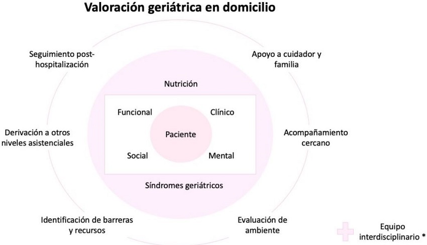 Propuesta de componentes de la valoraci&oacute;n geri&aacute;trica integral en el domicilio
