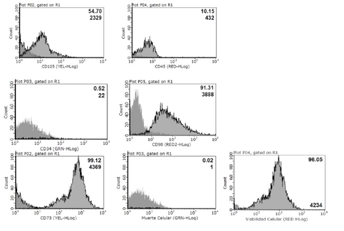 Verificaci&oacute;n del fenotipo troncal mesenquimal de las CTPD por citometr&iacute;a de flujo