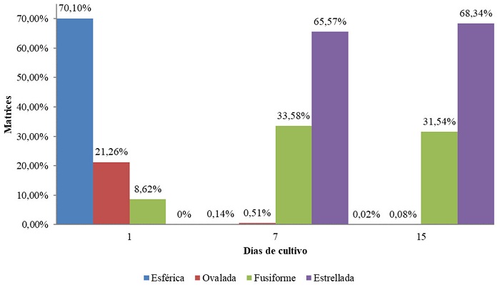 Morfolog&iacute;a celular in
vitro sobre las matrices dentales tridimensionales impresas en diferentes tiempos
(1, 7 y 15 d&iacute;as)