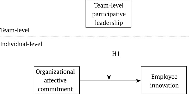 Conceptual Multilevel Model.
