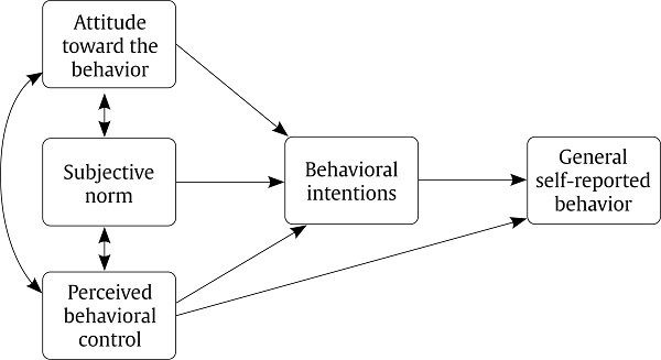 The Theory of Planned Behavior.