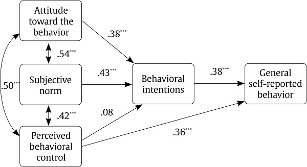 Path Analysis with Standardized Path Coefficients for the Theory of Planned Behavior.