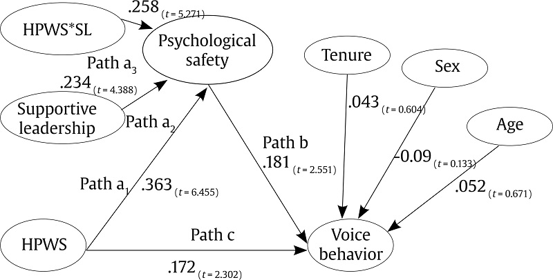 Estimated Moderated-Mediation Model.