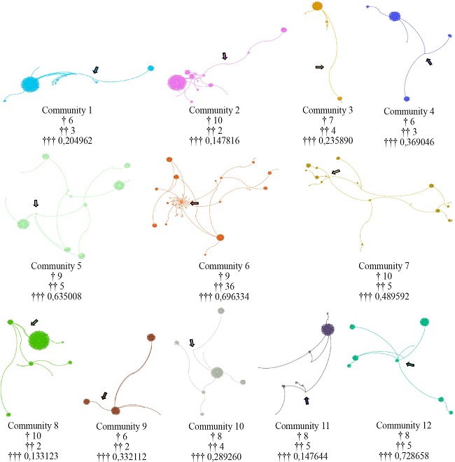 Details of the communities in the giant component
