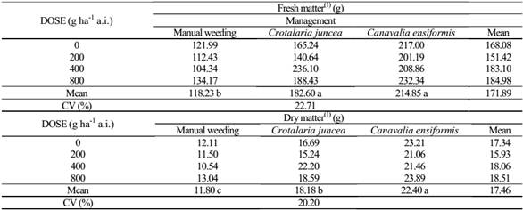 Fresh and dry mass of Pennisetum glaucum cultivated under different management systems in soil contaminated with the herbicide sulfentrazone, at 34 days after sowing.