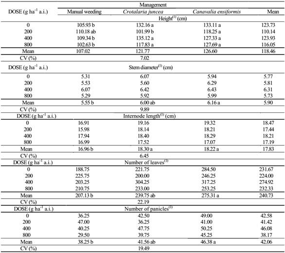Height (cm), stem diameter (cm), internode length (cm), number of leaves and number of panicles for Pennisetum glaucum cultivated under different management systems of soil contaminated with the herbicide sulfentrazone, at 84 days after sowing.