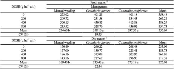Fresh and dry panicle mass of Pennisetum glaucum cultivated under different management systems of soil contaminated with the herbicide sulfentrazone, at 84 days after sowing.