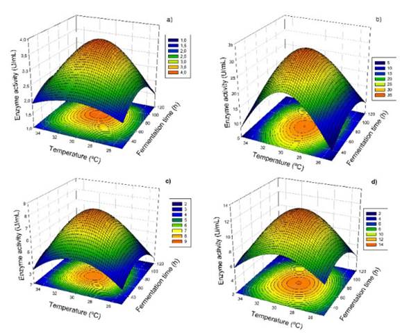Response surface plots of (A) endoglucanase, (B) total cellulases of Aspergillus niger, (C) Endoglucanase and (D) total cellulases of Rhizopus sp production during solid-state fermentation of cactus.