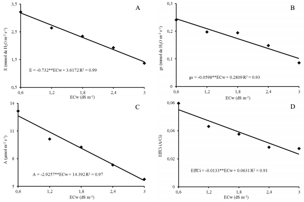 Transpiration - E (A), stomatal conductance - gs (B), CO2 assimilation rate - A (C), and instantaneous carboxylation efficiency - EffCi (D), as a function of irrigation water salinity, in citrus grafted with Mimo do C&eacute;u orange (Citrus sinensis OSBECK var. Mimo), at 210 days after the beginning of flowering.