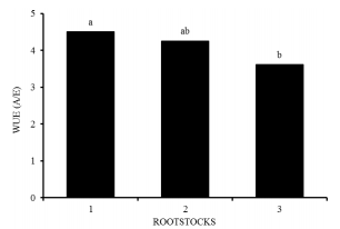 Water use efficiency (WUE), as a function of irrigation water salinity, in citrus grafted with scion of Mimo do C&eacute;u orange (Citrus sinensis OSBECK var. Mimo), at 210 days after the beginning of flowering.