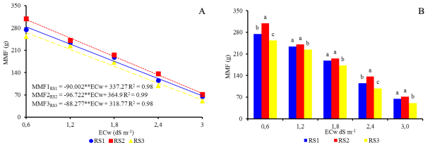 Mean mass of fruits (MMF) for citrus genotypes used as rootstocks at each water salinity level (A) and regression between the mean mass of fruits (B) as a function of irrigation water salinity, in citrus grafted with scion of Mimo do C&eacute;u orange (Citrus sinensis OSBECK var. Mimo), at 210 days after the beginning of flowering.