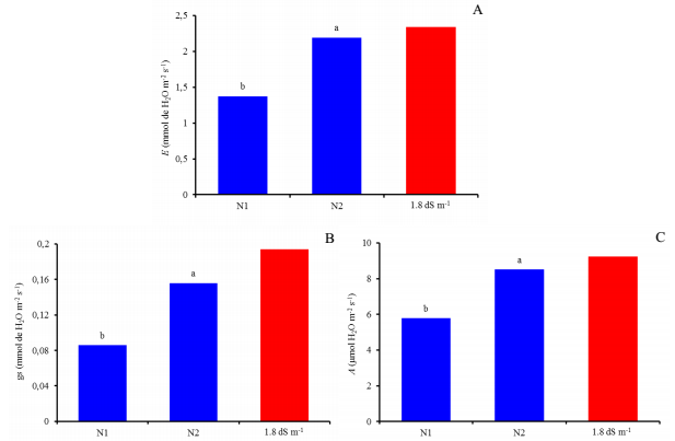 Transpiration- E (A), stomatal conductance - gs (B), and CO2 assimilation rate- A (C), as a function of nitrogen doses (N1 - 100% and N2 200% of recommendation), in citrus grafted with scion of Mimo do C&eacute;u orange (Citrus sinensis OSBECK var. Mimo), irrigated with water of 3.0 dS m-1, at 210 days after the beginning of flowering, in comparison to the salinity level of 1.8 dS m-1 from Experiment I.