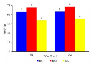 Mean mass of fruits (MMF) as a function of nitrogen doses (N1 - 100% and N2 200% of recommendation), in citrus grafted with scion of Mimo do C&eacute;u orange (Citrus sinensis OSBECK var. Mimo), irrigated with water salinity of 3.0 dS m-1, at 210 days after the beginning of flowering.