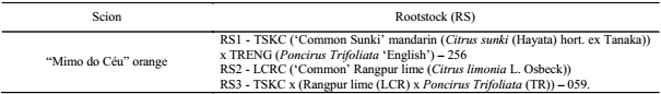 Combinations of scion-rootstock included in the experiments.