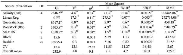 Summary of the analysis of variance for internal CO2 concentration (Ci), transpiration (E), stomatal conductance (gs), CO2 assimilation rate (A), water use efficiency (WUE), instantaneous carboxylation efficiency (EffCi), and mean mass of fruit (MMF), under different of water salinity (Sal) and citrus rootstocks (RS) grafted with Mimo do C&eacute;u orange (Citrus sinensis OSBECK var. Mimo), at 210 days after the beginning of flowering.