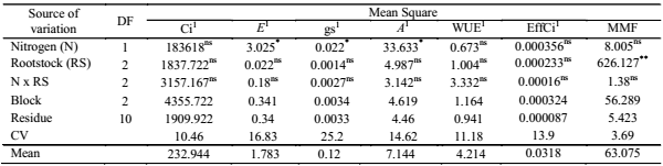 Summary of the analysis of variance for internal CO2 concentration (Ci), transpiration (E), stomatal conductance (gs), CO2 assimilation rate (A), water use efficiency (WUE), instantaneous carboxylation efficiency (EffCi), and mean mass of fruits (MMF) as a function of different doses of nitrogen (N) and citrus rootstocks (RS) grafted with Mimo do C&eacute;u orange (Citrus sinensis OSBECK var. Mimo), at 210 days after the beginning of flowering.
