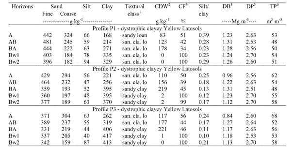Physical characterization profiles of Yellow Latosols (Oxisols). 