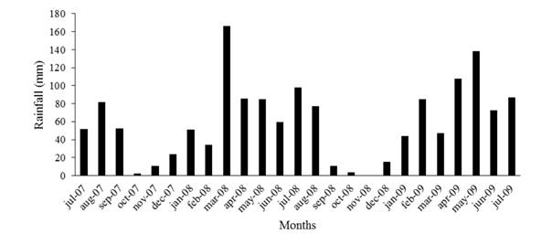 Monthly rainfall during the growth of cactus pear sward