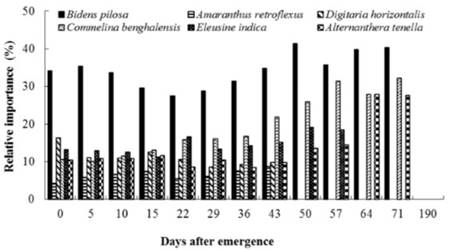Relative importance (RI) of the main weed species present during the experiment for the treatments with different initial periods of weed control (Group 2). Chapad&atilde;o do Sul - MS, 2009/2010.