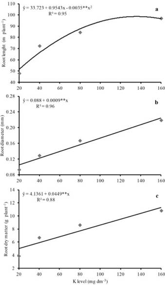 Length (a), diameter (b), and root dry matter (c) of upland rice as affected by increasing K levels. **significantly different at p&le;0.01.