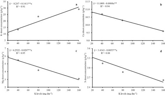 Potassium (a), calcium (b), magnesium (c), and sulfur (d) concentration in the shoot of upland rice as affected by increasing K levels. **significantly different at p&le;0.01.