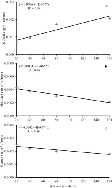 Potassium (a), magnesium (b) and sulfur (c) uptake per unit root length of upland rice as affected by increasing K levels. **significantly different at p&le;0.01.