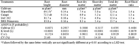 Length, diameter, and dry matter of the root system, shoot dry matter, total dry matter, and root/shoot dry matter ratio of upland rice as affected by cultivar and increasing K levels.