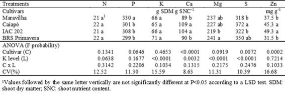 Nutrient use efficiency of upland rice as affected by cultivar and increasing K levels
