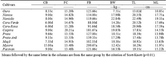 Number of clusters per bunch (CB), fruits per cluster (FC), fruits per bunch (FB), bunch weight (BW), fruit total length (TL), fruit market length (ML) of unripe fruits and their coefficients of variation (CV%) in 15 banana cultivars.