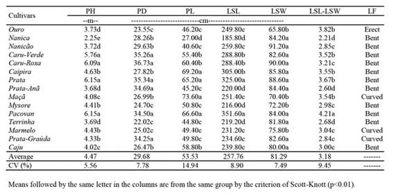 Plant height (PH), pseudostem diameter (PD), petiole length (PL) leaf blade length (LSL), leaf blade width (LSW), leaf blade length-to-width ratio (LSL-LSW), leaf form (LF) and their coefficients of variation (CV%) in 15 banana cultivars