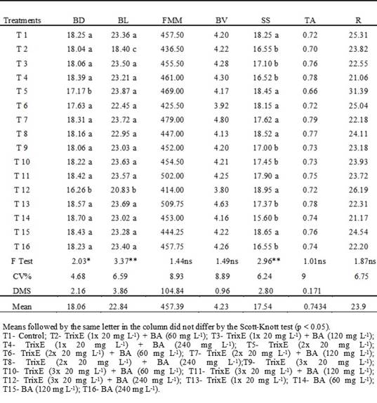 Berry diameter (BD, mm), berry length (BL, mm), fresh material mass (FMM, g) and berry volume (BV, cm³), and soluble solids content (SS, ºBrix), titratable acidity (TA, g. tartaric acid/100 g of wine) and ratio (R, SS/AT relationship) of the ‘Thompson Seedless‟ treated with TrixE with or without BA; F test, coefficient of variation and mean values of the variables