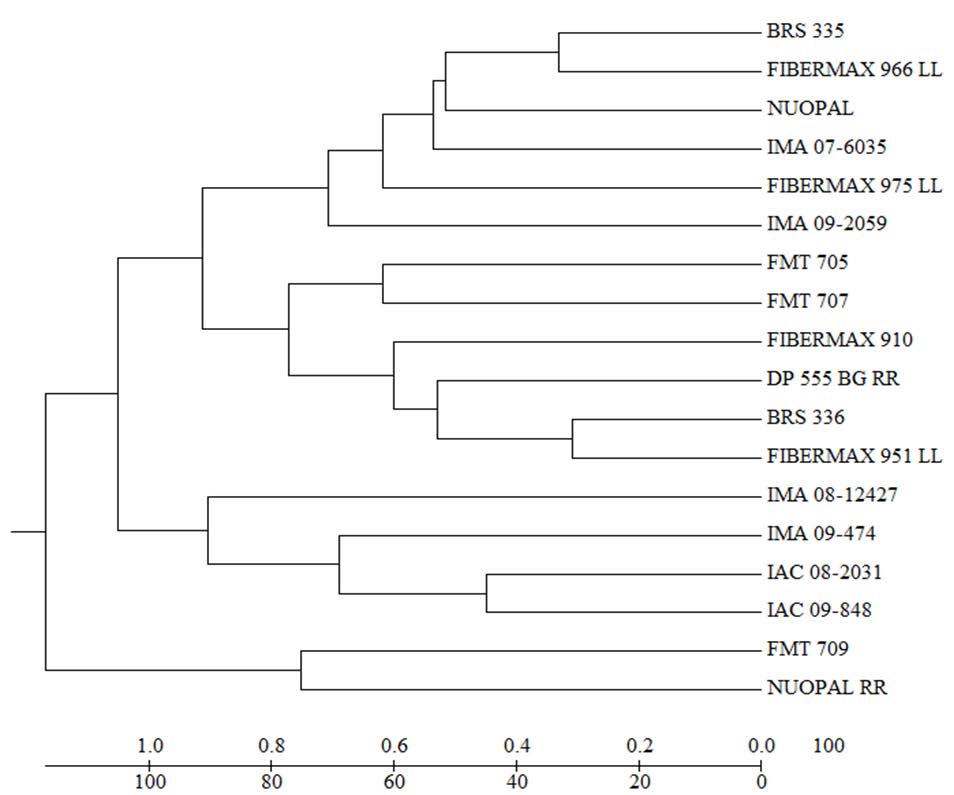 Dendrogram of the dissimilarity patterns established by the unweighted pair group method with arithmetic mean (UPGMA), using quantitative data of 18 cotton genotypes sowed in the main season and off season. (Cophenetic Correlation Coefficient CCC = 0.68, p<0.01, 10,000 permutations).