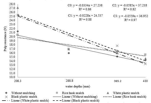 Effects of water depths and mulches on the fruit pulp resistance (PR) during the first watermelon crop cycle.