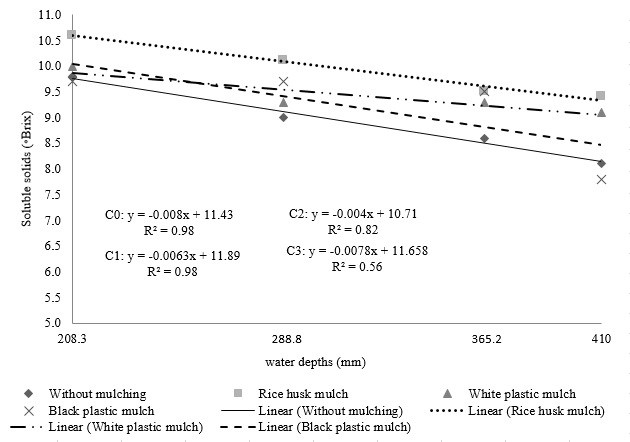 Effects of water depths and mulches on the fruit soluble solids (SS) during the first watermelon crop cycle.