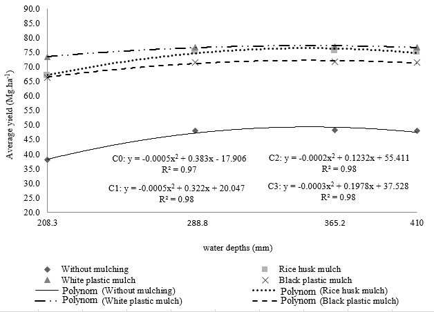 Effects of water depths and mulches on the fruit average yield (AY) during the first watermelon crop cycle.