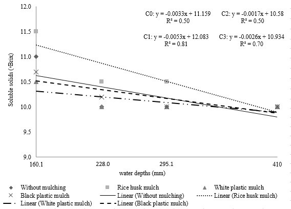 Effects of water depths and mulches on the fruit soluble solids (SS) during the second watermelon crop cycle.