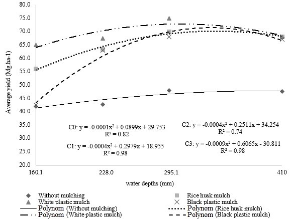 Effects of water depths and mulches on the fruit average yield (AY) during the second watermelon crop cycle.