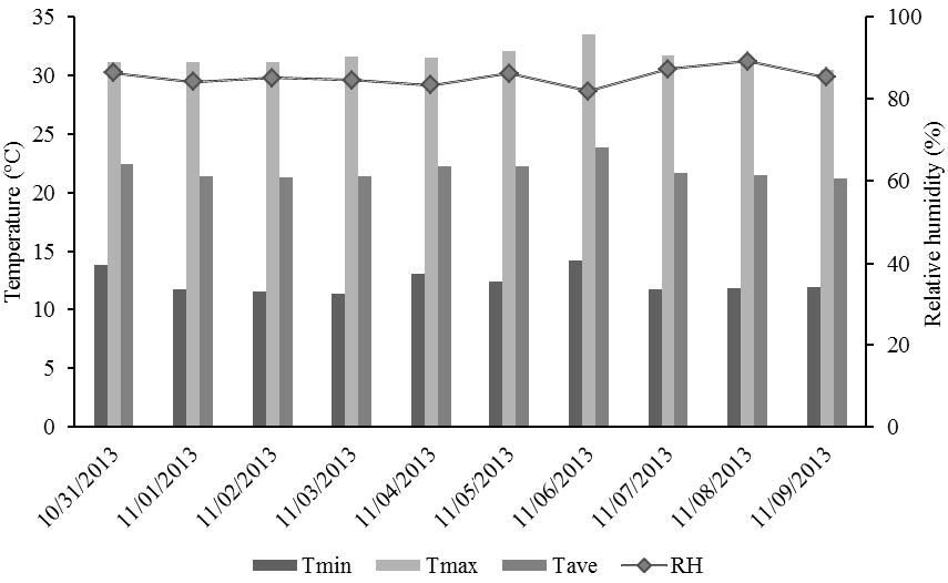 Minimum (Tmin), maximum (Tmax) and average (Tave) daily air temperatures and air relative humidity (RH) inside moist chamber throughout graft conditioning.