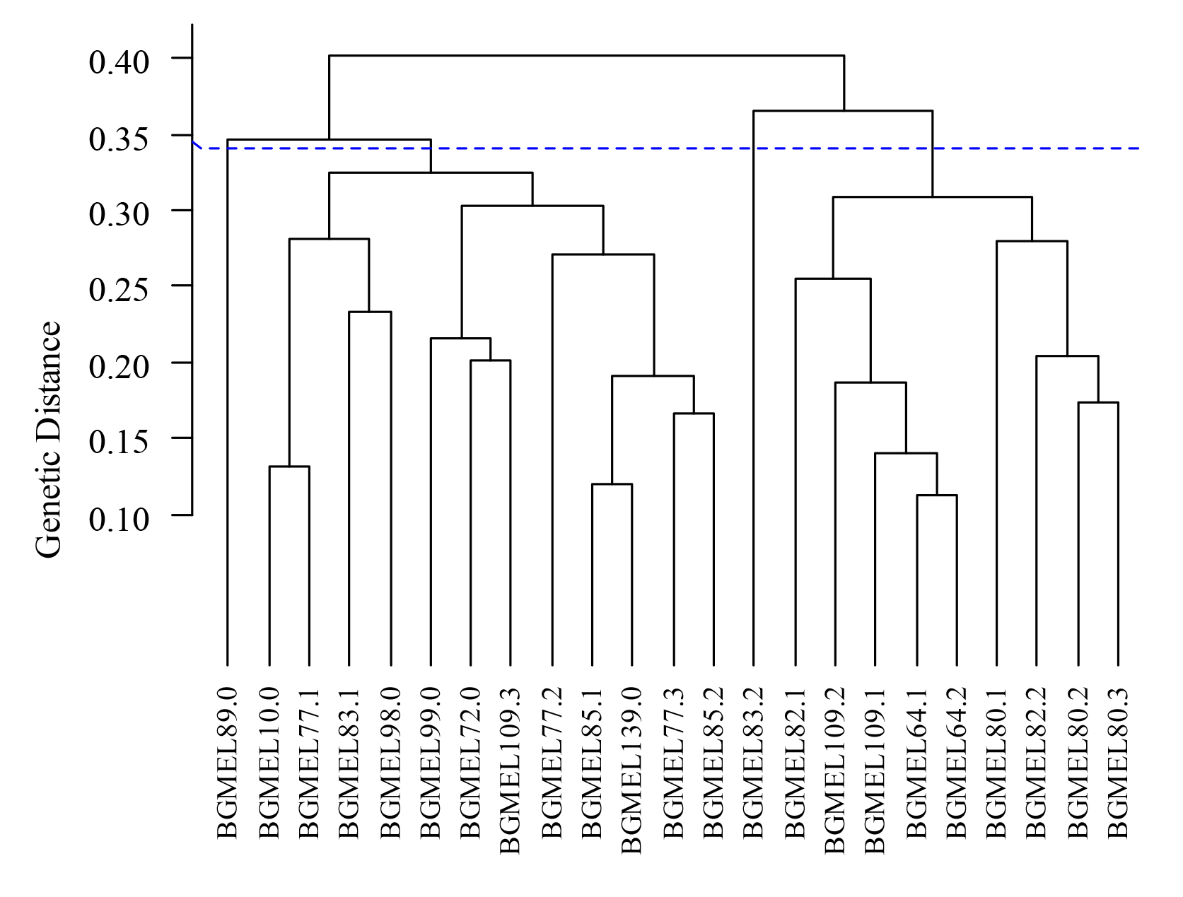 Dendrogram of the genetic dissimilarity between 23 subaccessions (generation S2) derived from 13 melon accessions (generation S1) from traditional agriculture in the state of Maranh&atilde;o, obtained by the UPGMA method.