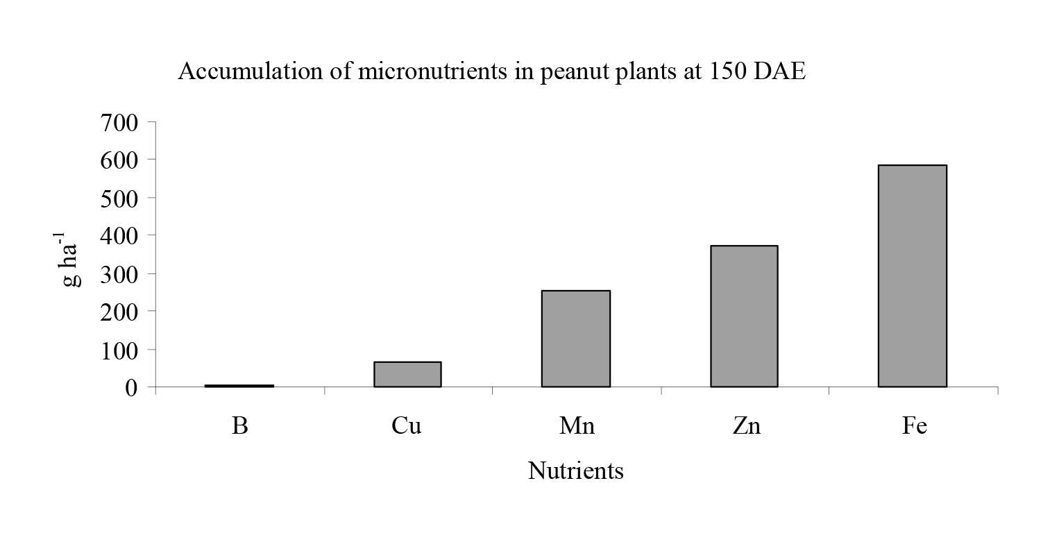 PEANUT PLANT NUTRIENT ABSORPTION AND GROWTH