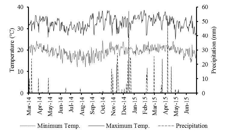 Daily minimum and maximum temperature (ºC) and precipitation (mm) during the experimental period. (Source: INMET, 2016).