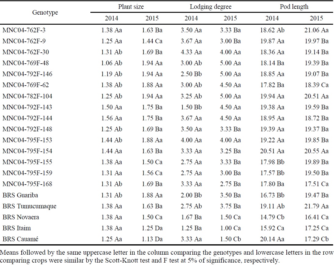 Average plant size, lodging degree and pod length of 20 erect and semi-erect cowpea genotypes, evaluated in the summer-fall crop season of 2014 and 2015.