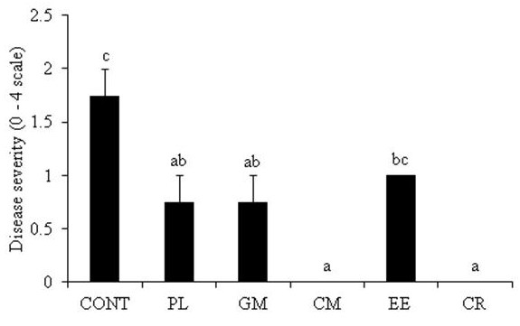 Severity of cassava root rot disease in sandy soil with different organic matter sources. CONT = control; PL = poultry litter; GM = goat manure; CM = cattle manure; EE = earthworm excrements; CR = coffee residue. Columns represent average values and error bars represent stand errors (n=4). Different letters above bars indicate significant differences at P<0.05 level.
