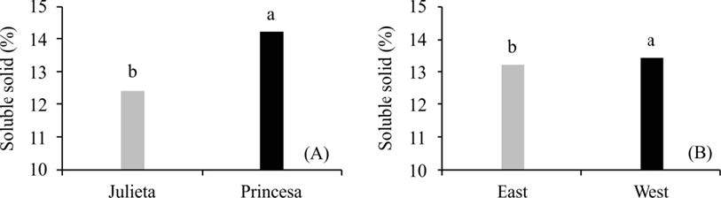 Soluble solid contents of apple (Malus domestica Borkh) fruits grown in the Sub-Mid São Francisco River Valley depending on the cultivar (A) and fruit position in the tree canopy (B).