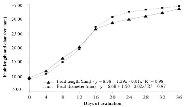 Fruit growth curve of the &lsquo;Roxo de Valinhos&rsquo; fig cultivar.
