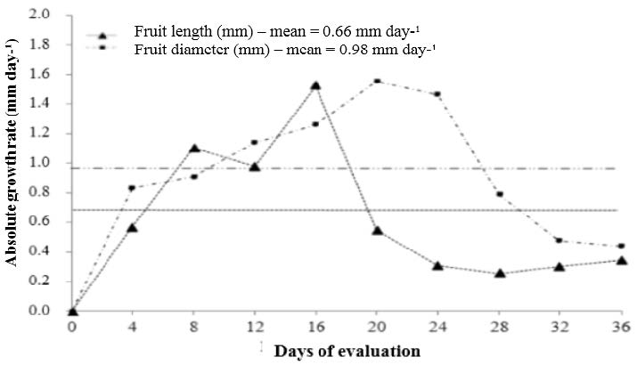 Absolute growth rate of fig fruits of the &lsquo;Roxo de Valinhos&rsquo; cultivar.
